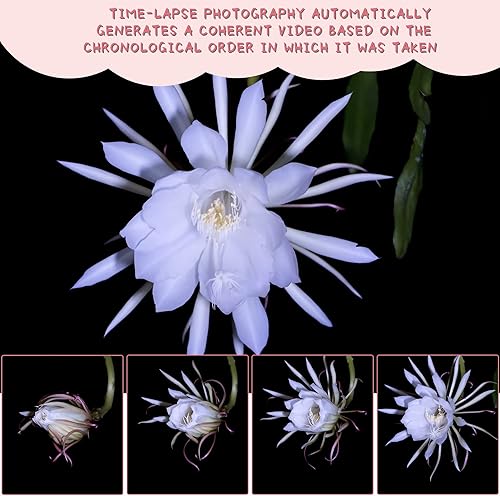 Miniatura 5 de Juguetes de cámara para niños de 3 a 12 años, regalos de Navidad y cumpleaños para niños pequeños, cámara de video digital selfie HD de 40 MP con