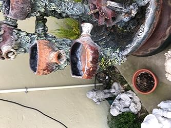 Customer Image, click to open customer review