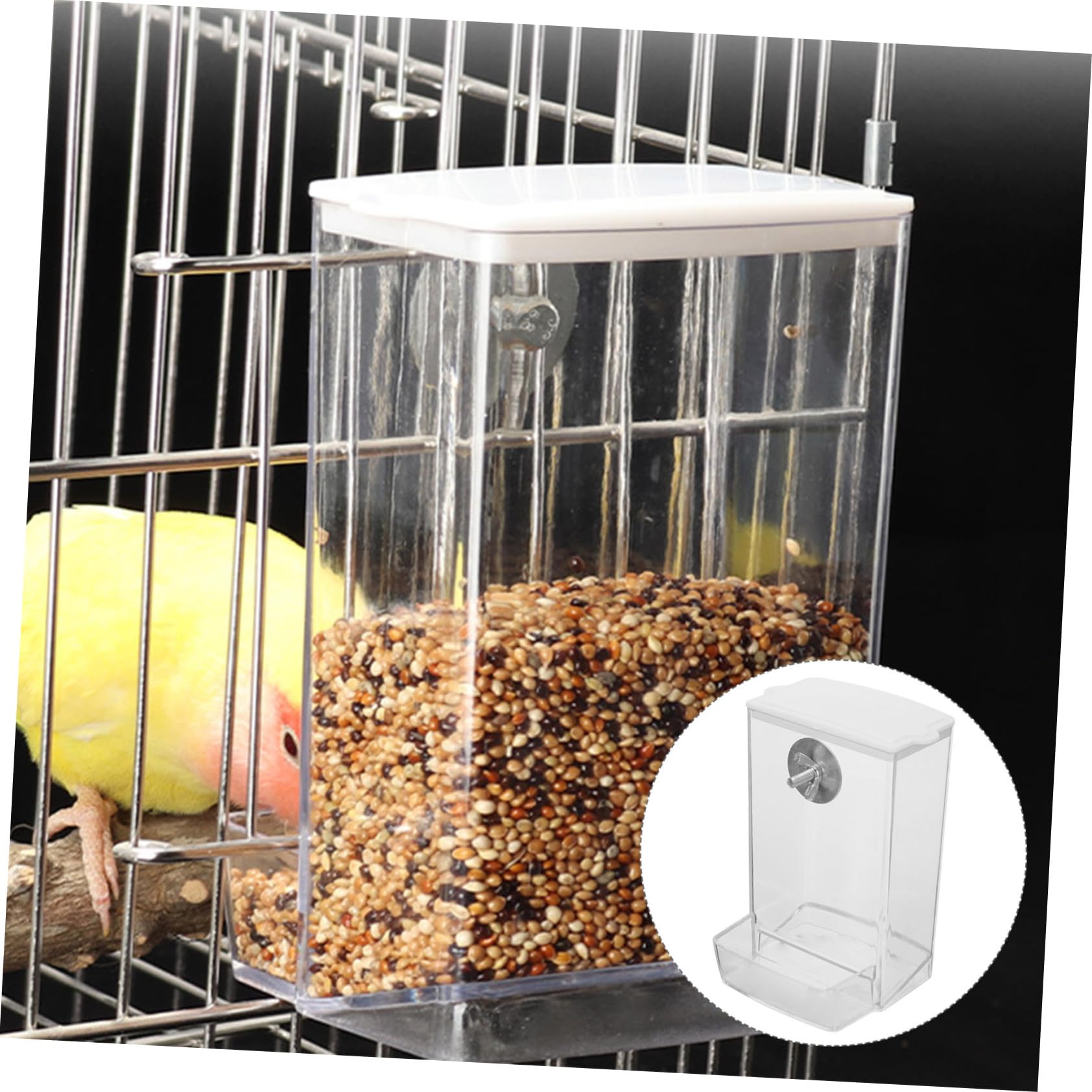 Yardwe 4 Pz Scatola Di Cibo Per Uccelli Gabbia Per Uccelli Alimentatore Automatico Porta Cibo Per Finestra Della Mangiatoia Per Mangiatoia Per Design Fibbia Pp