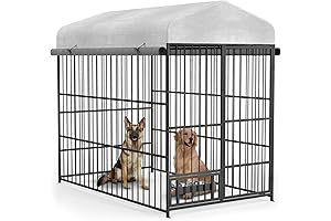 Spacious Outdoor Dog Kennel for Large Dogs: Ultimate Comfort and Security
