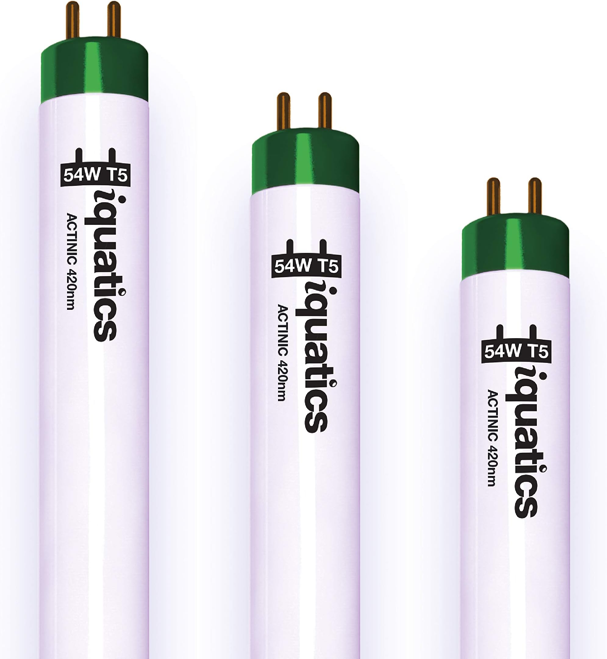 iQuatics Juwel Compatible Aquarium Fluorescent Light Bulb T5 (3 Pack), Actinic, 54w 1200mm 48”