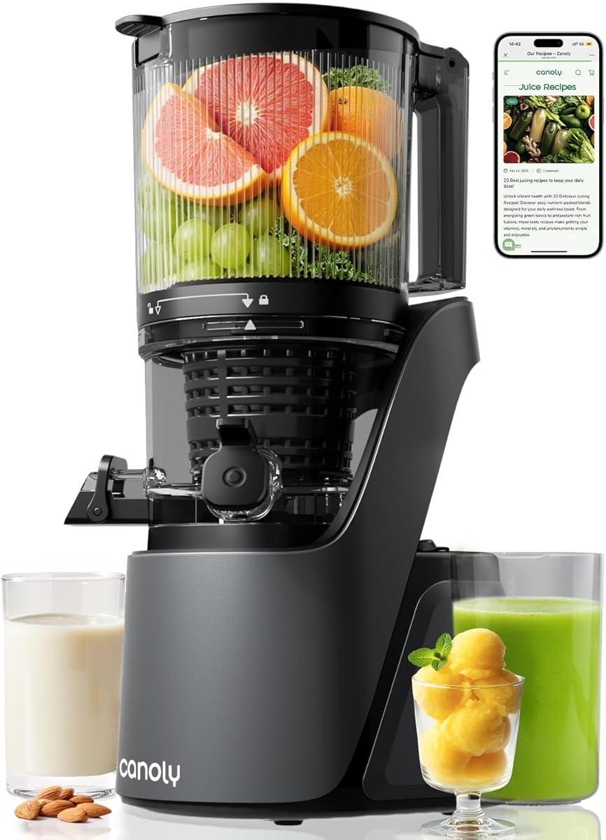 Canoly Juicer Machines, 150 MM Large Feed Chute Cold Press Masticating Juicer, 3-IN-1 Strainers (Juice & Sorbet & Nut Milk), Powerful AC Brushless Motor, Self Precut System, BPA Free, Space Gray