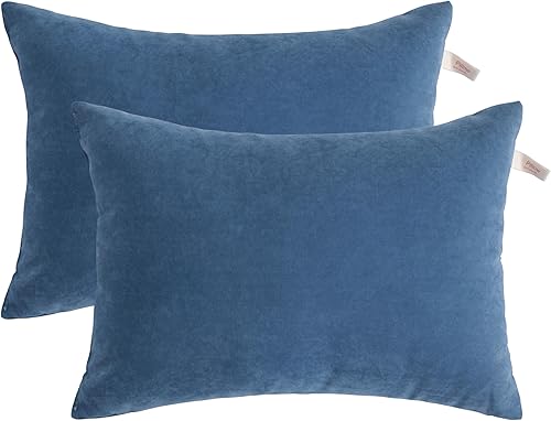 NTBAY Paquete de 2 almohadas, almohadas de microfibra de 13 x 18 pulgadas para viajes, mascotas, almohadas pequeñas lavables a máquina para cuello,