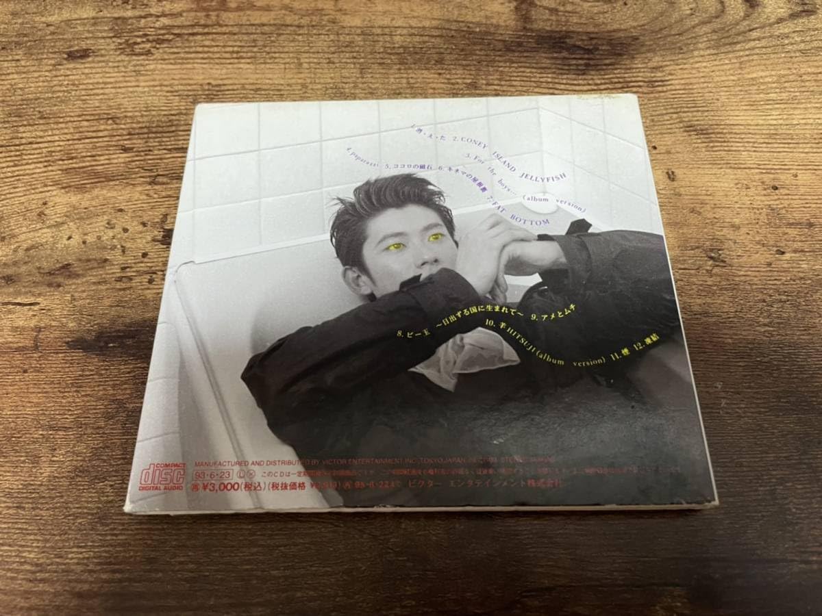 Amazon.co.jp: 永瀬正敏CDCONEY ISLAND JELLYFISH忌野清志郎