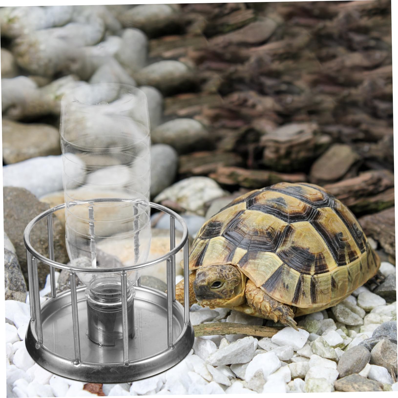 3 Mini Bandejas De Agua para Reptiles, Comedero para, Comedero De Agua, Suministros para Reptiles, Comedero De De Metal, Comedero para Dragones Barbudos, Comedero para