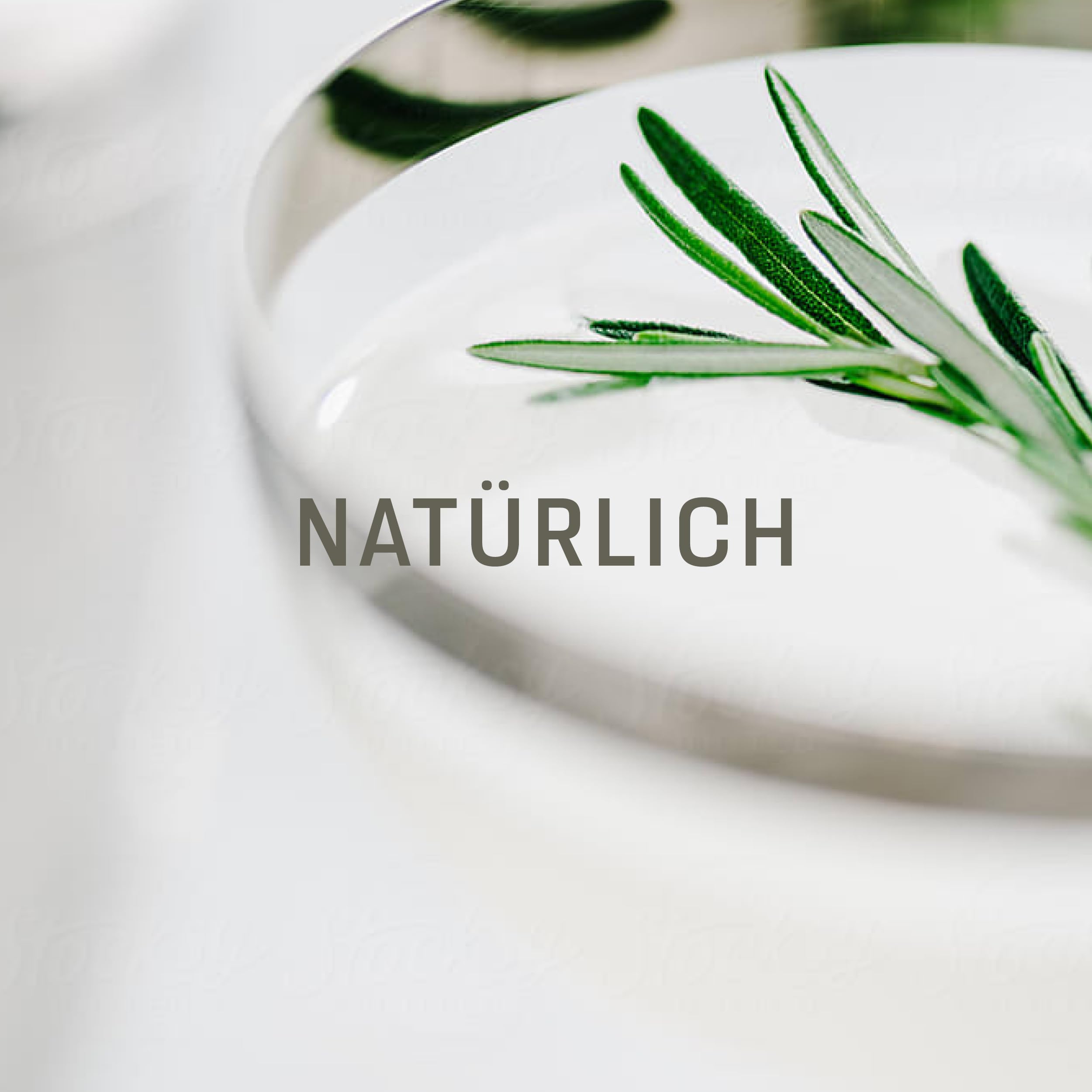 Crème de jour à la rose avec de l'acide hyaluronique et des herbes - Certifié bio et végétalien - Renforce la barrière protectrice de la peau et lisse la peau - Pour tous les types de peau -