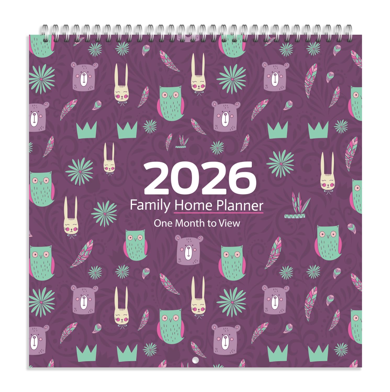 Arpan 2026 Family Home Planner Wall Calendar. Month-to-View Family Organiser with 5 Columns. Runs from 1st Jan' 2026 to 31st Dec' 2026. Academic mid-Year or School Planner, Owl Art