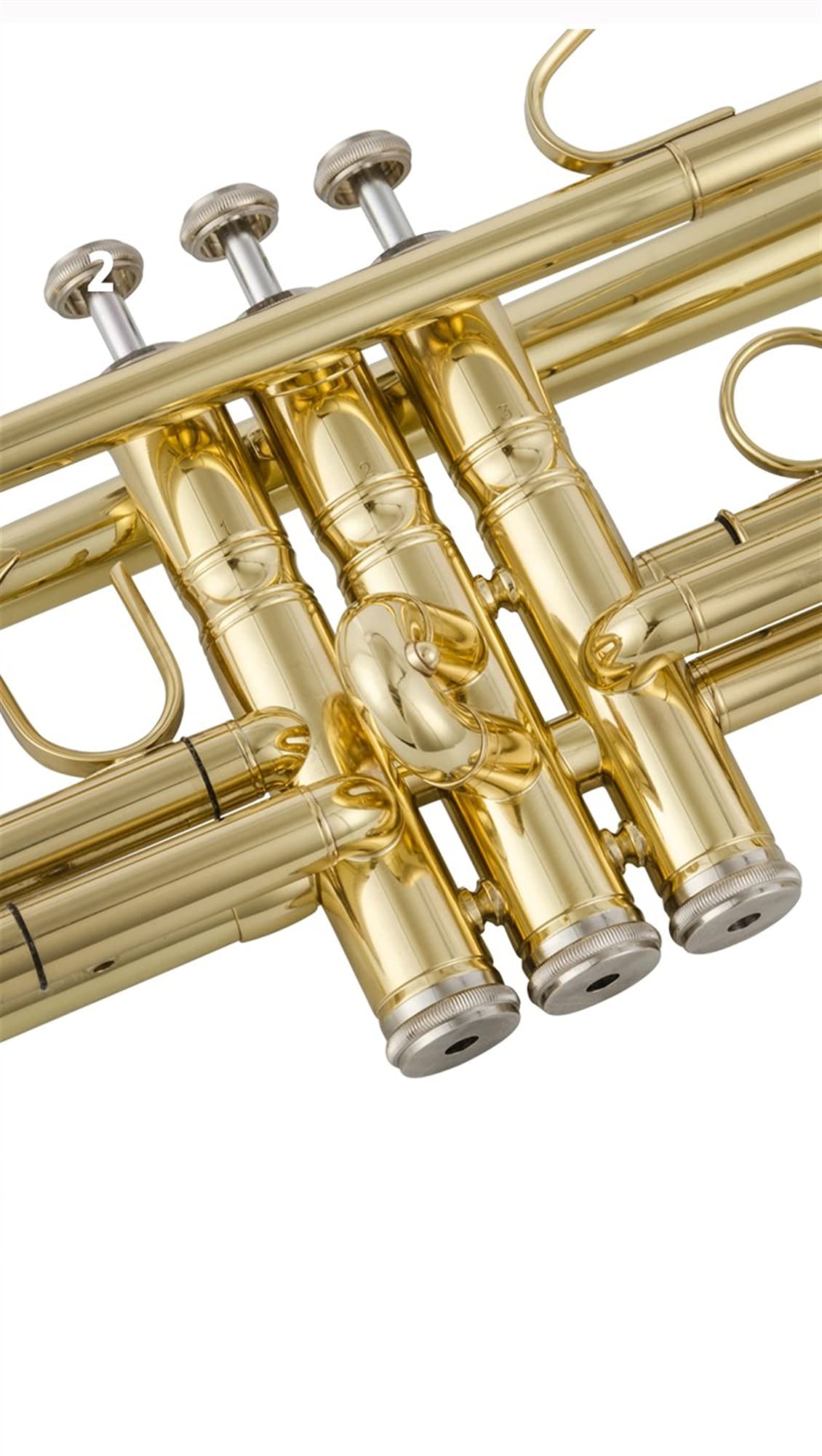 Trompeta de Estudiante Trompeta Profesional Instrumento Musical Principiante Nivel De Juego Niños Adulto B Lacado Plano Oro Trompeta de Estudiante