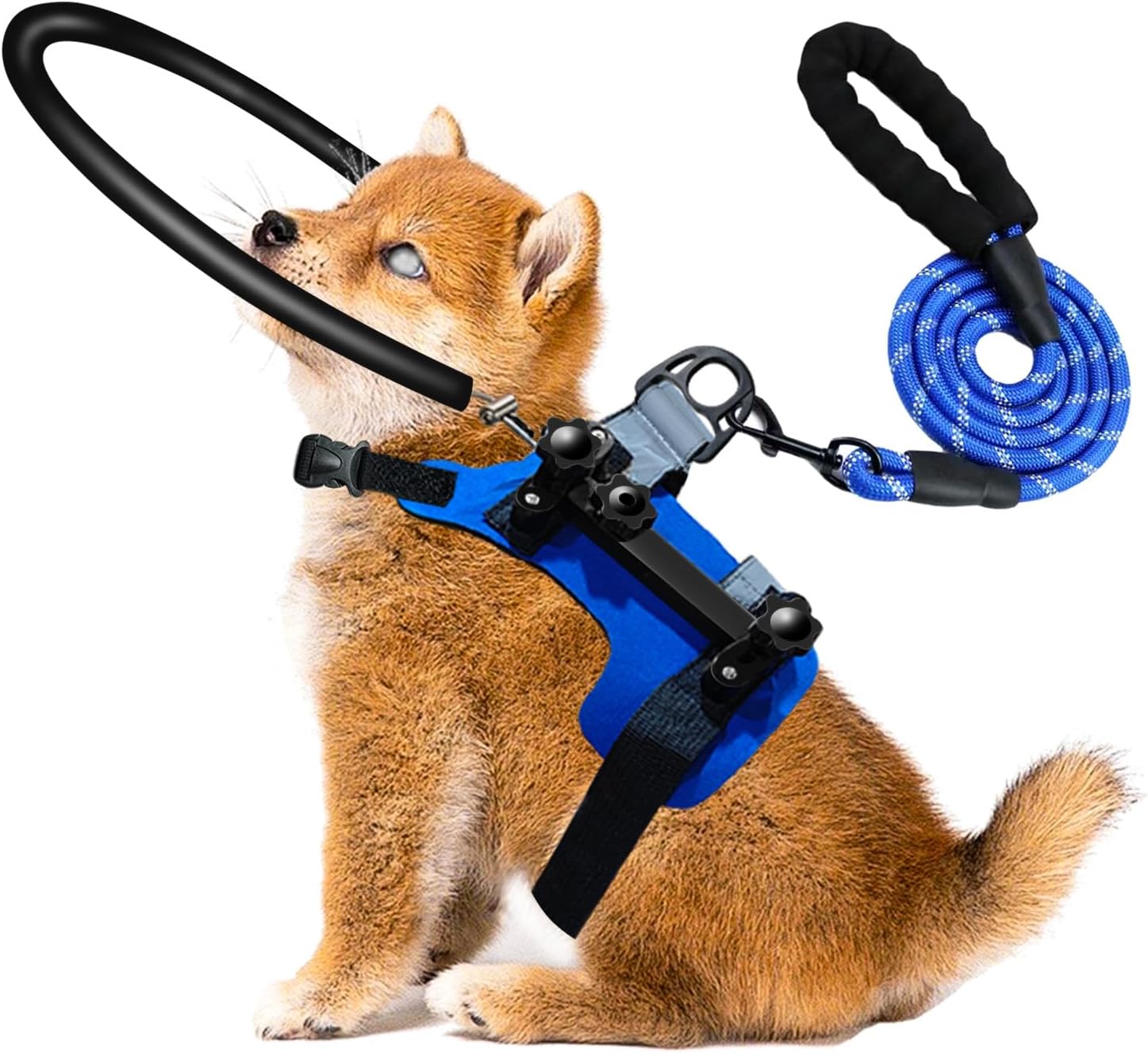 Blind Dog Halo Harness,Adjustable Bumper Halo with 5 FT Dog Leash and Reflective Dog Collar for Protective & Build Confidence,Blind Dog Accessories (S:Recommand Weight 8-22 lbs)