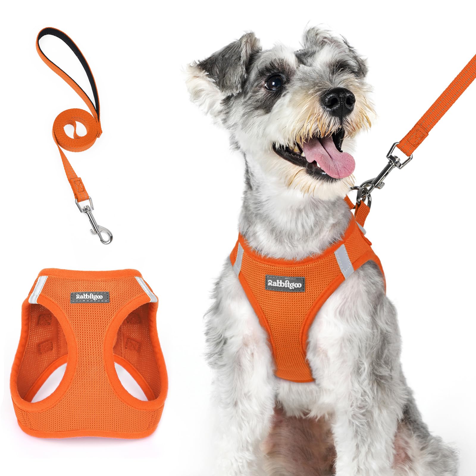 rabbitgoo Small Dog Harness and Lead Set, Step-in Soft Mesh Puppy Harness — image 1