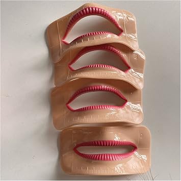 3D Silicone Lips Mannequin Fake Lips Tooth Arrangement Contrast Model for Professional Study Education School Teaching Dentist Tool,Set of 4 pcs