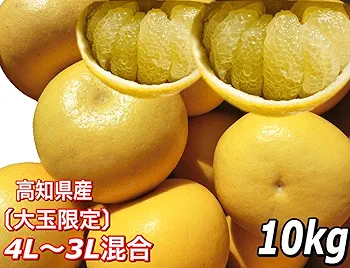 tomo　高知特産土佐文旦3L 〜4L 10㎏2箱ご家庭用 高知県産 訳あり 土佐文旦 大玉 4L 〜 3L サイズ 約10kg 自宅用