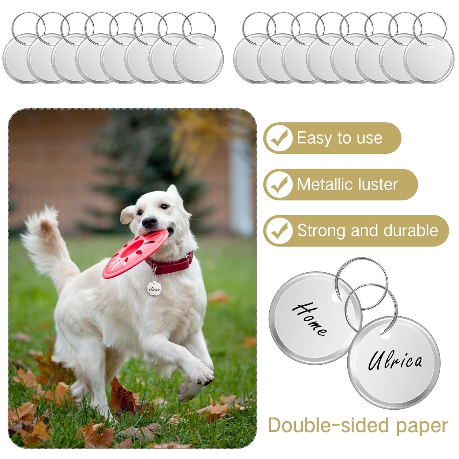 Hotop 500 Pieces 1 Inches White Metal Rim Key Tags Bulk Key Round Paper Tags with Metal Split Rings for Car and Door Keys