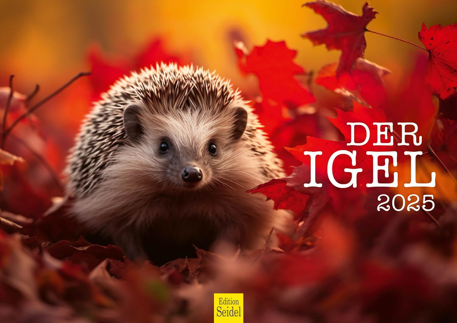 Edition Seidel Calendario Premium Canguros Magistrales Springer 2026 Formato DIN A4 Calendario