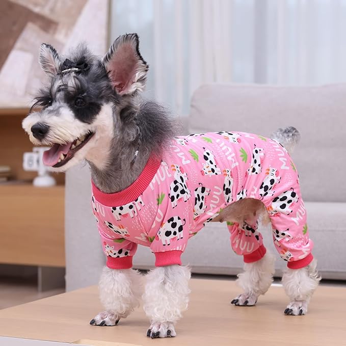 Pijama para perro pequeño CuteBone talla S miniatura 5