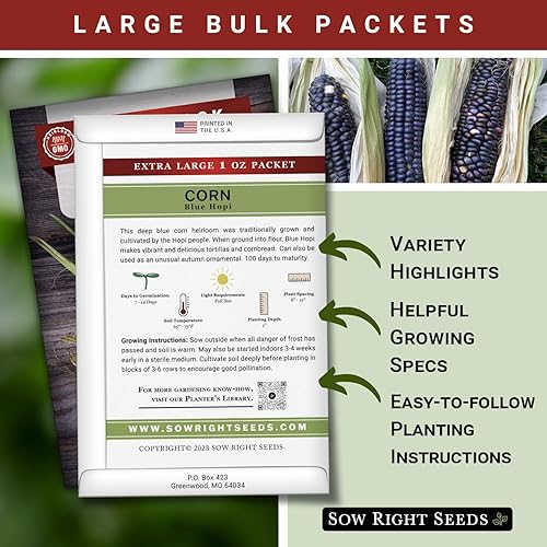 Miniatura 2 de Sow Right Seeds - Semilla de maíz Blue Hopi para plantar - Paquete de reliquia sin OMG con instrucciones para plantar y cultivar un huerto en el