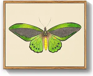 crmotu Vintage Framed Wall Art, Green Butterfly Canvas Art Prints, Nature Moth Rustic Farmhouse Kitchen Wall Decor, Country Cottage Wall Paintings for Bedroom Bathroom, Office Desktop Decor,9x11inch