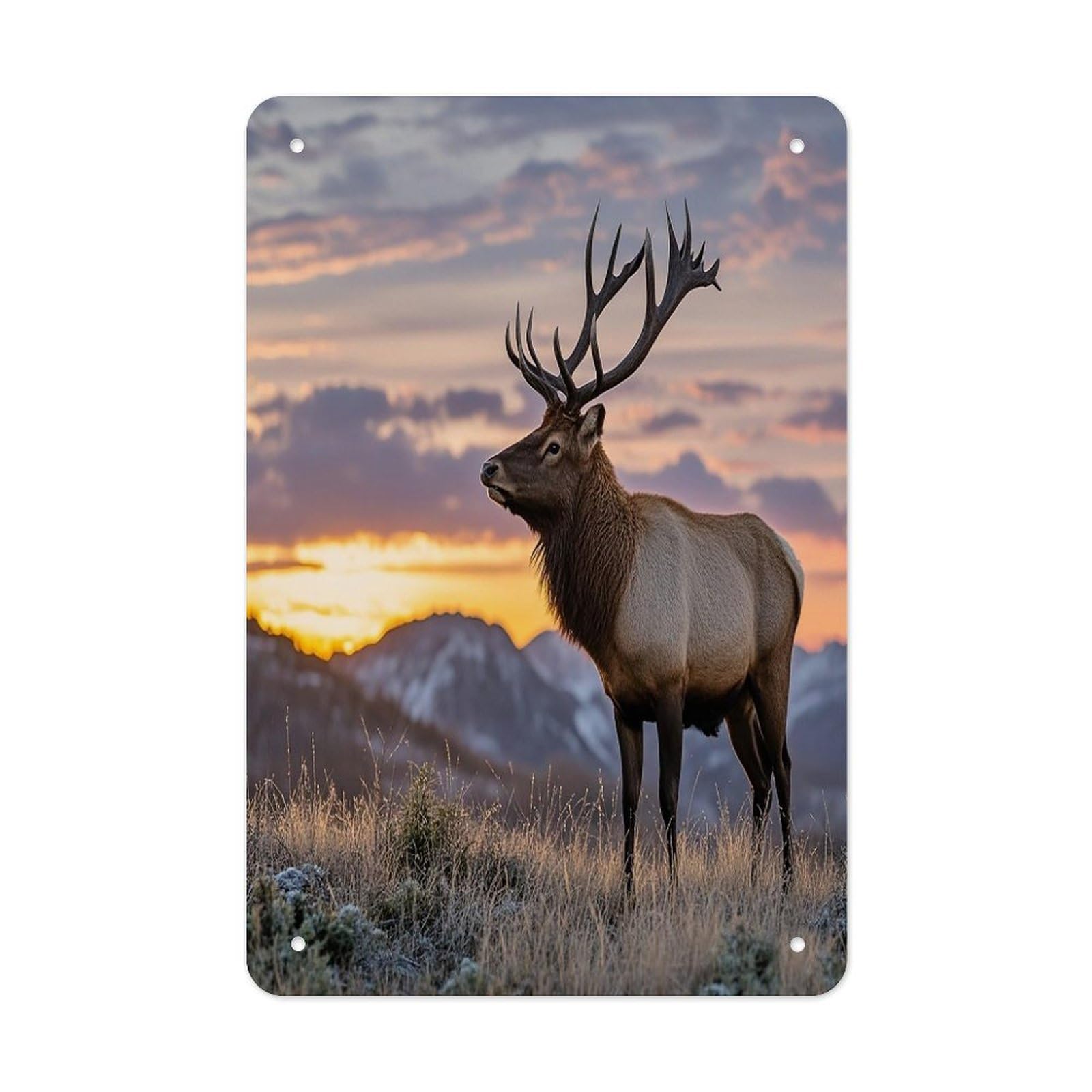 Red Deer Bull Elk Sunset Tin Sign Vintage Funny Metals Sign Wall Decor Retro Metal Poster Wall Decoration Iron Metals Plate Art Metal Signs Poster for Indoor Outdoor Wall Decor
