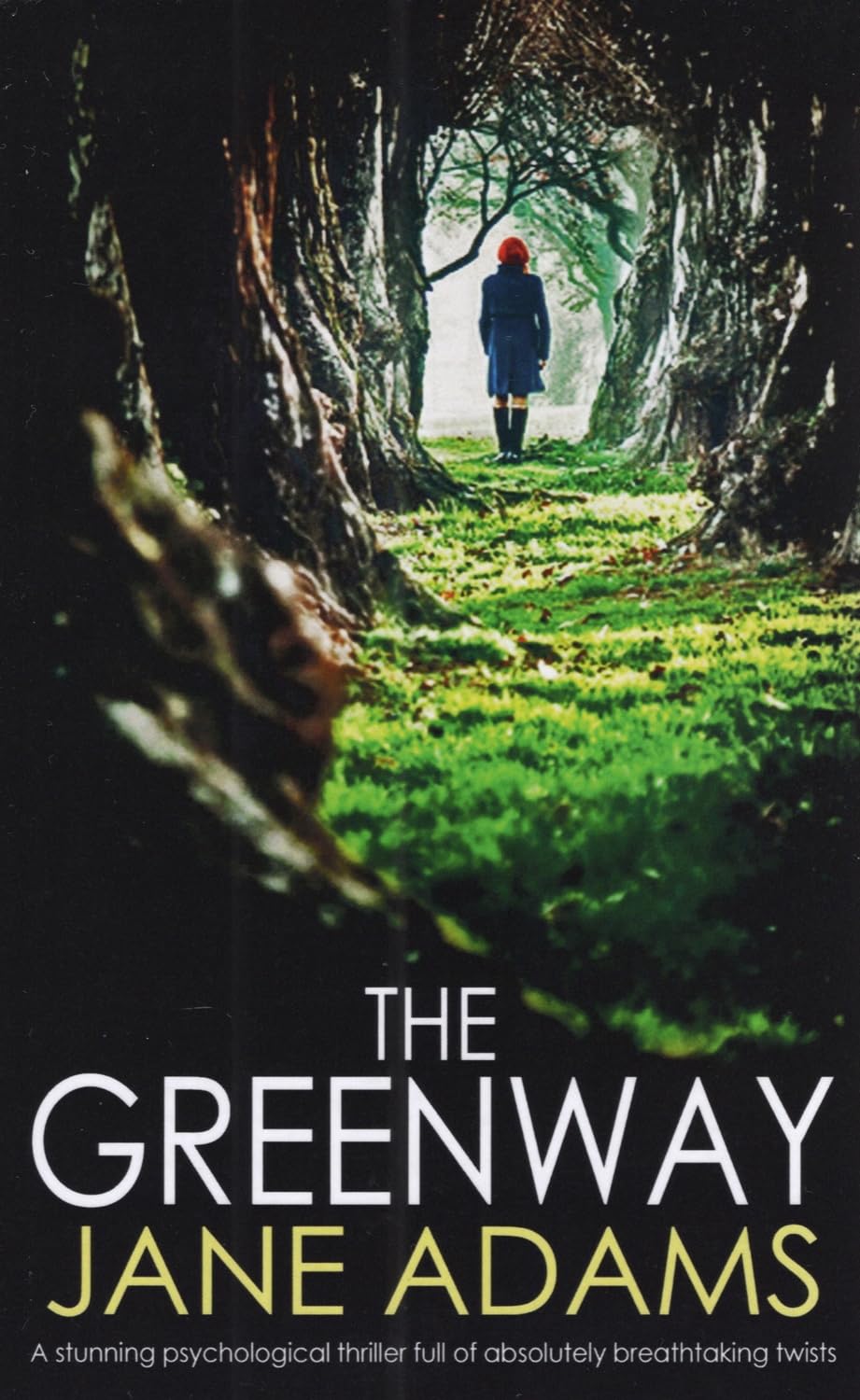 THE GREENWAY: a stunning psychological thriller full of absolutely breathtaking twists (Detective Mike Croft)