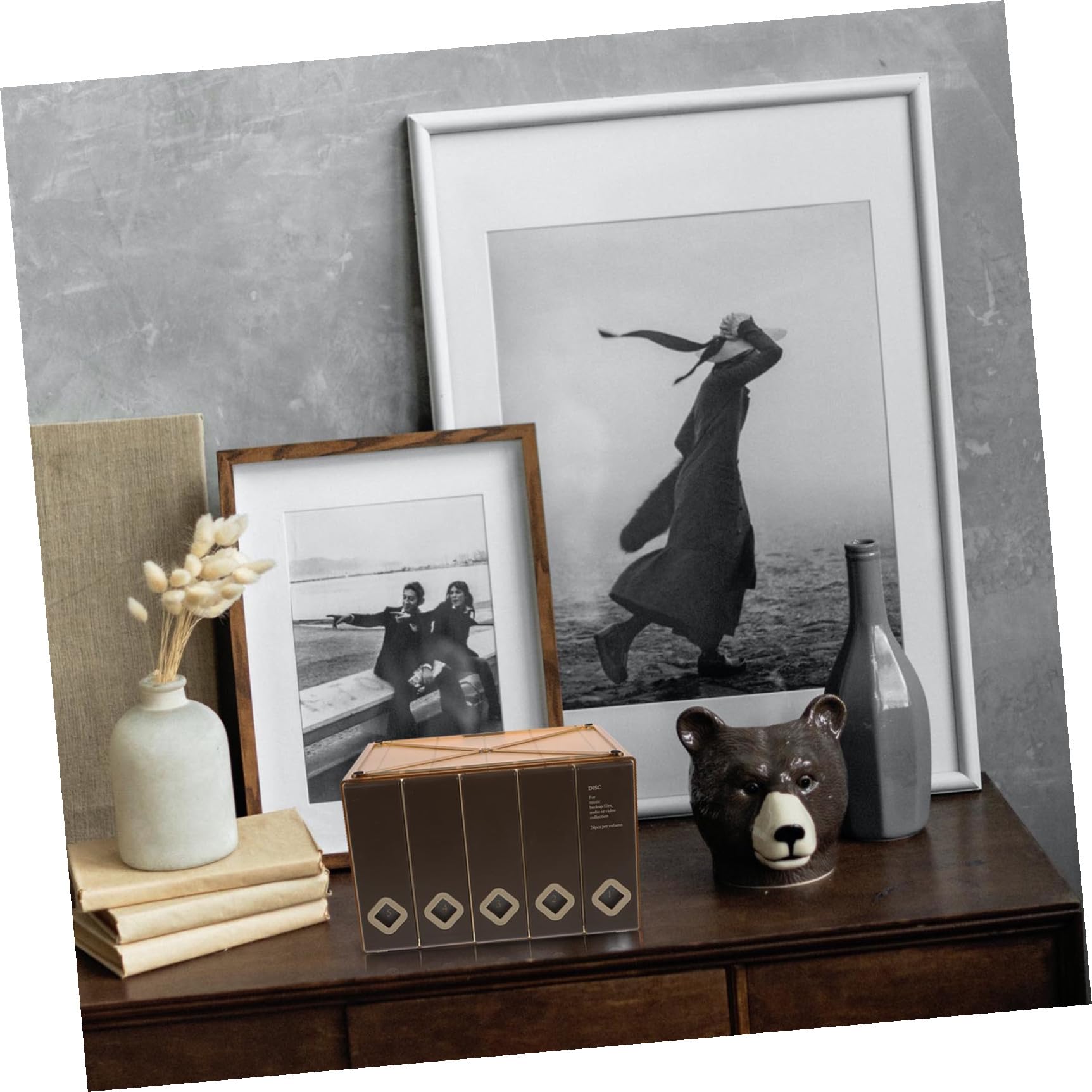 Cofanetto CD di capacità Custodia Disc Storage Case per Dischi Protezione da Polvere e Graffi Organizer Pratico e Elegante
