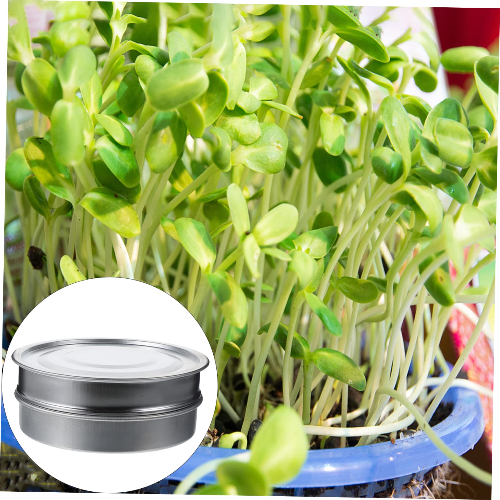 Cabilock 1set Vassoi per Germinazione Inossidabile Base Giardinaggio e Balcone Strumento per Coltivazione Casa