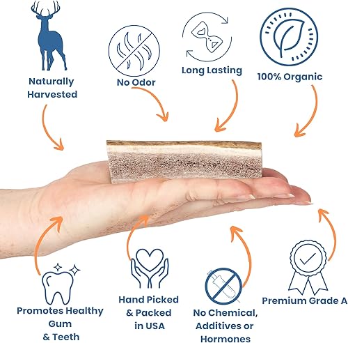 Miniatura 2 de Cuernos divididos para perros, cuernos naturales para masticadores agresivos, cuernos de alce de origen estadounidense para perros pequeños,