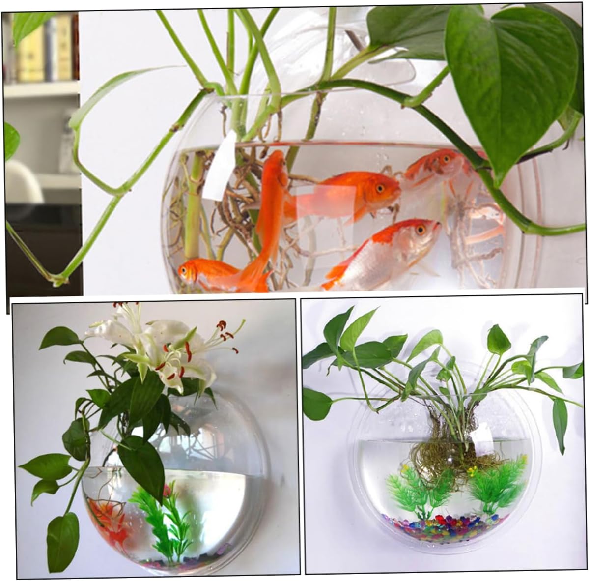 BESPORTBLE 4pcs Wall-Mounted Acrylic Fish Bowl Planter Transparent Wall Fish Tank for Stylish Home Decor Versatile Hanging Vase for Plants and Flowers for Flower Arrangement