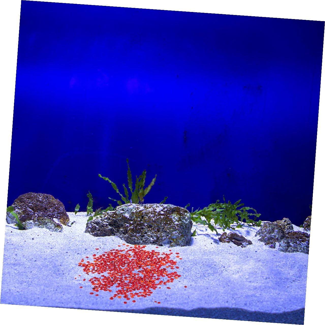 Cabilock 2 Sets Aquarium Gravel Fish Tank Stones Colored Decorative Pebbles Natural Non-Fading Red and Amber Bulk Substrate for Fish Tank Landscaping and Aquarium Decor