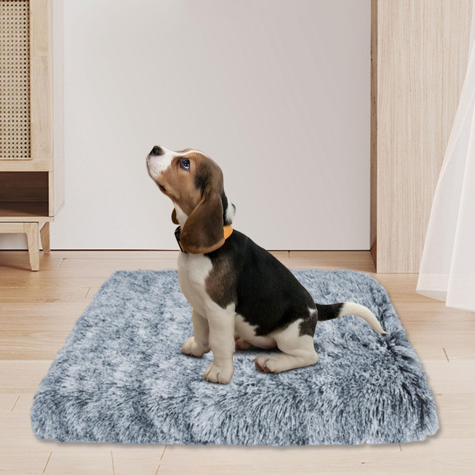 Tappetino Sottociotola per Cani e Gatti, 60x40 cm Antiscivolo Lavabile, Fondo in Gomma, Proteggi Pavimento per Piccola e Media Taglia- Xl
