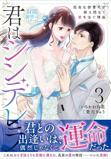 君はシンデレラ～孤高な御曹司が絶え間なく愛を注ぐ理由～ 3巻