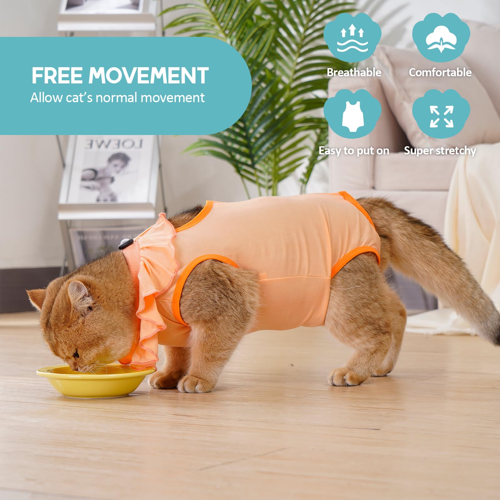 Baby Clothes Cat Onesie Post Surgery Avont Cat Recovery Suit