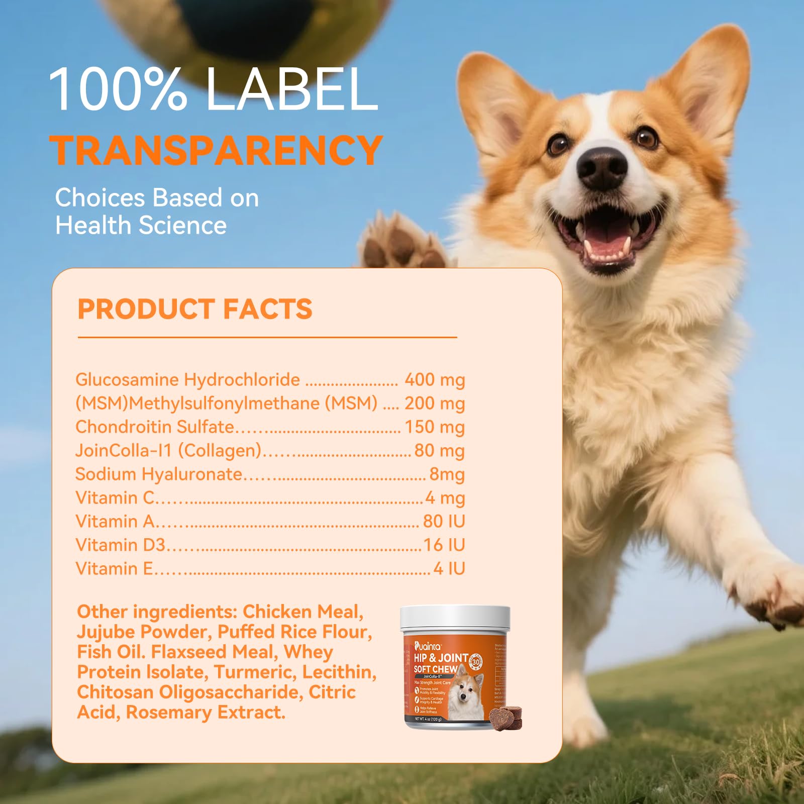 Hip & Joint Soft Chews for Dogs & Cats – Glucosamine, Chondroitin, Collagen & MSM for Joint Support, Mobility & Flexibility, Senior & Small/Medium Breeds, Chicken Flavor (30 Count) - image 8