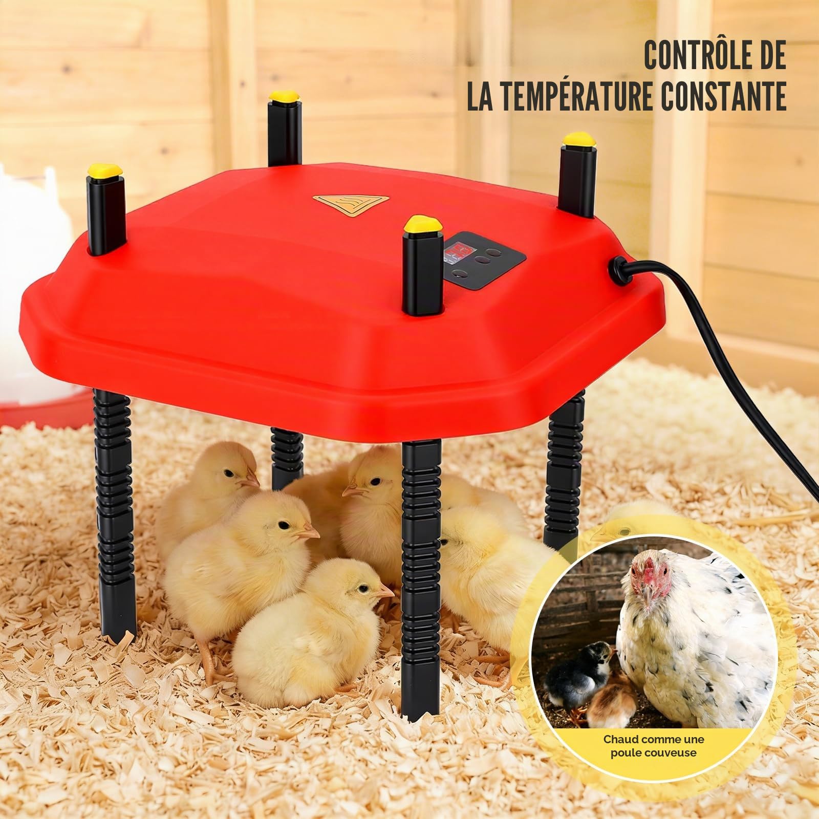 Chauffage réglable pour poussins, canards, oies, thermostat 10-70 °C et hauteur de 3,6 à 18,3 cm, 30 W économe en énergie pour poussins, canards, oies, protection contre la surchauffe, kit de maintien