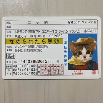 Amazon.co.jp: なめ猫運転免許証金 D : ペット用品