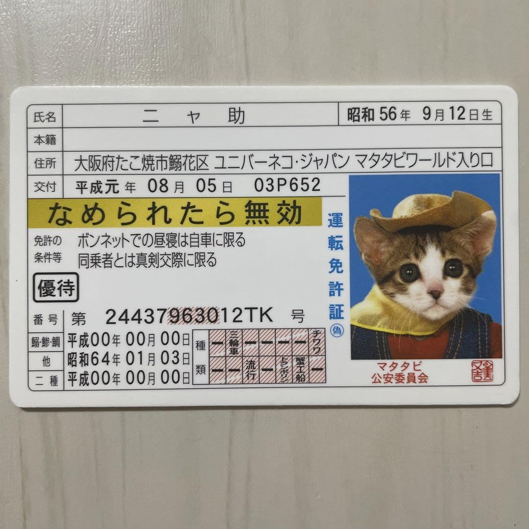なめねこ 運転免許証風カード 2017年 なぜ「なめ猫免許証」は1200万枚も売れたのか？――権威を遊びに
