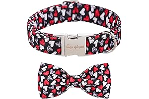 Valentine's Day Dog Collar with Red Heart