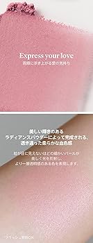 【早い者勝ち・美品】XL チークブラウン アンタークティカ ポーラテック 楽天市場】ソフィーナ オーブ クチュール ブラシチーク レフィル