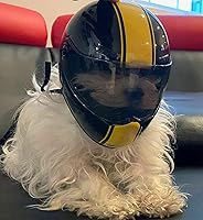 Vista 4 de Casco de motocicleta para mascotas, casco de motocicleta de cara completa para perros y gatos, casco de motocicleta para exteriores, para gato