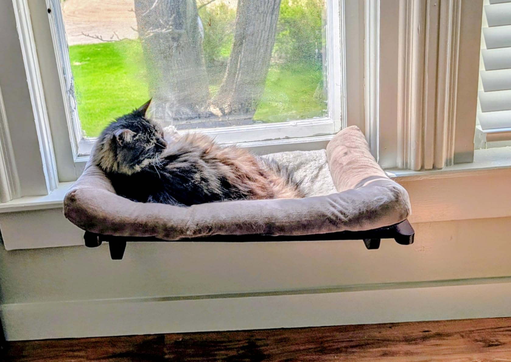 Customer review photo