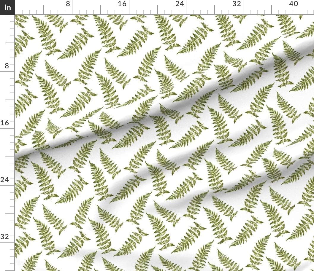 Spoonflower Fabric - Vintage Ferns Natural Science Botanicals Botanical Art Nature Greenery Printed on Petal Signature Cotton Fabric by The Yard - Sewing Quilting Apparel Crafts Decor