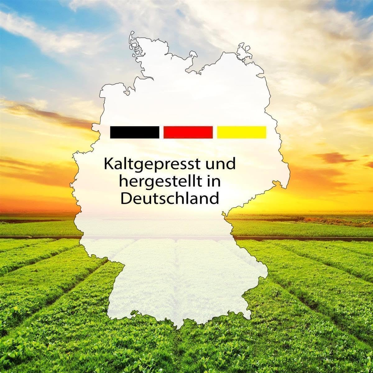 2 x Lausitzer Leinöl (kaltgepresstes Leinöl), 2 x 1 Liter