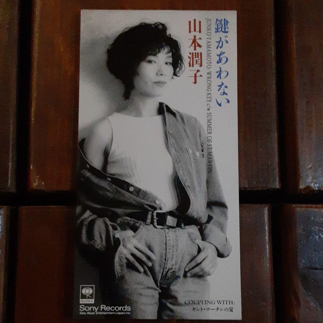 Amazon.co.jp: 山本潤子鍵があわない : ホーム＆キッチン