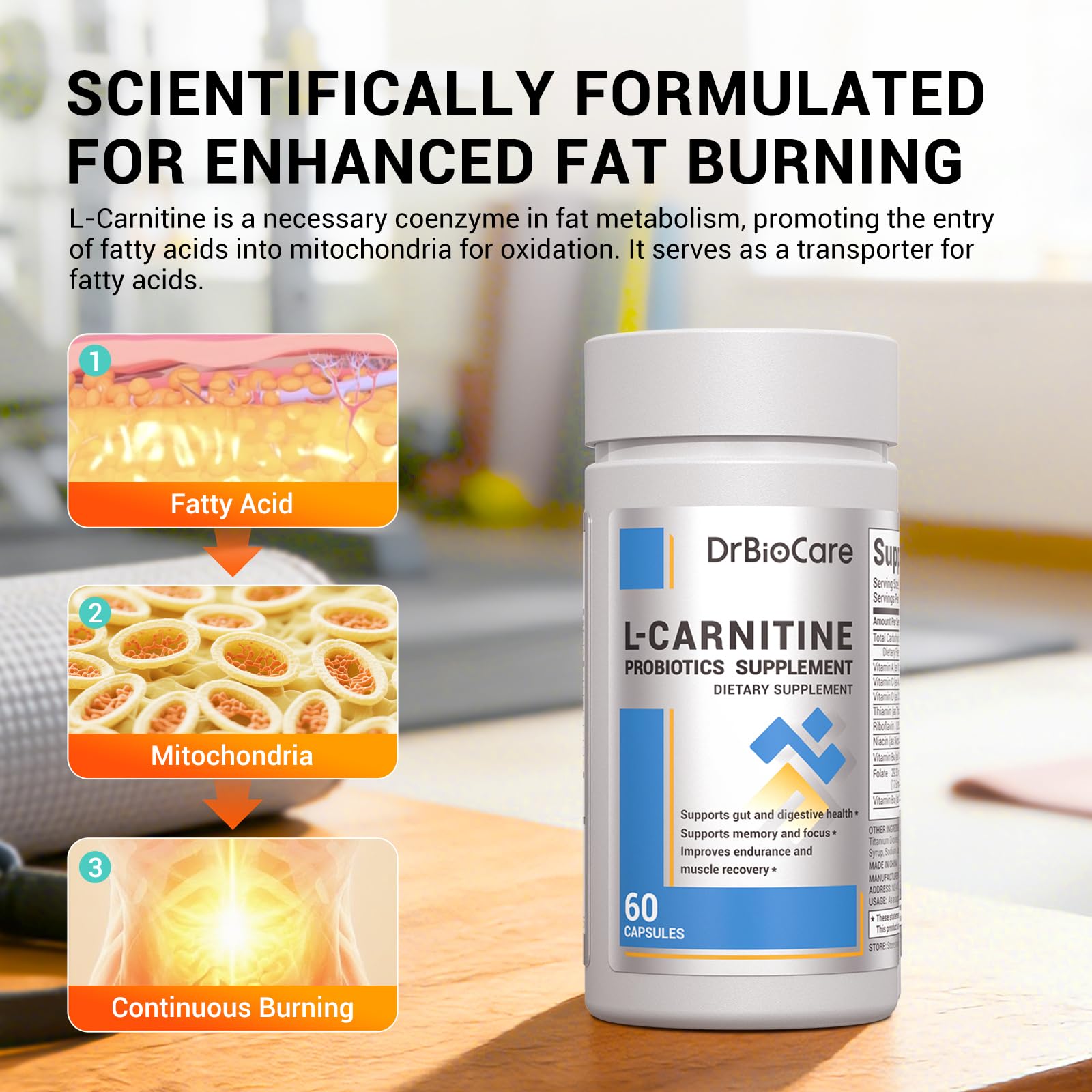 Amazon.com: DrBioCare L-Carnitine Probiotics Supplement, Contains L- Carnitine, Probiotics, Green Coffee Powder, Yerha Mate Extract, Garcinia  Cambogia Extract, Vitamin B Complex,Vitamin A,Vitamin C 120 Capsules :  Health & Household
