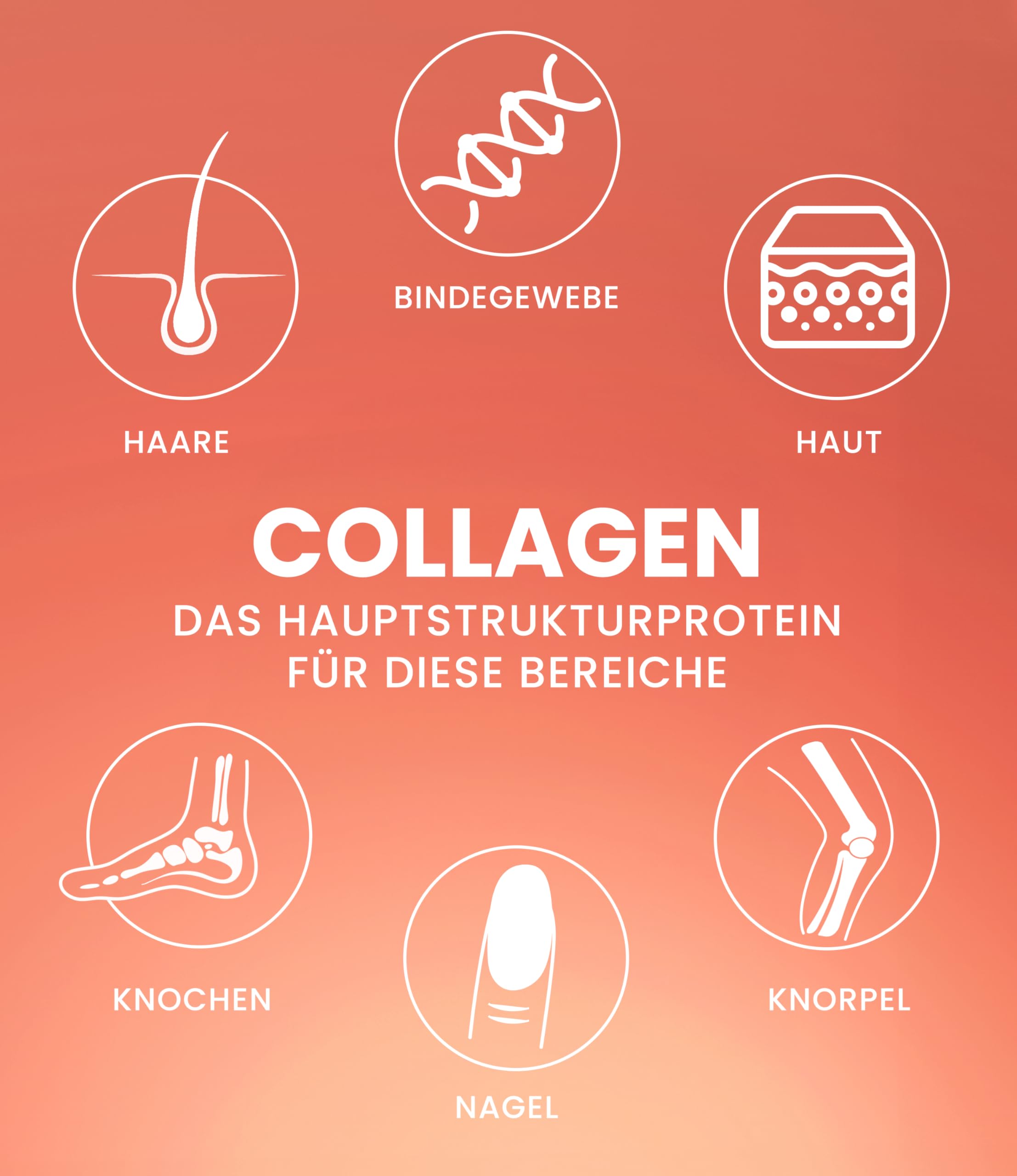 Purefitness VERISOL® Collagen Pulver 600g [NOTE 1,1] mit BEAUTY-Formel - Patentiertes VERISOL® Collagen Peptide - Kollagen Pulver mit Hyaluron, Biotin & Vitamin C (Packung mit 2)