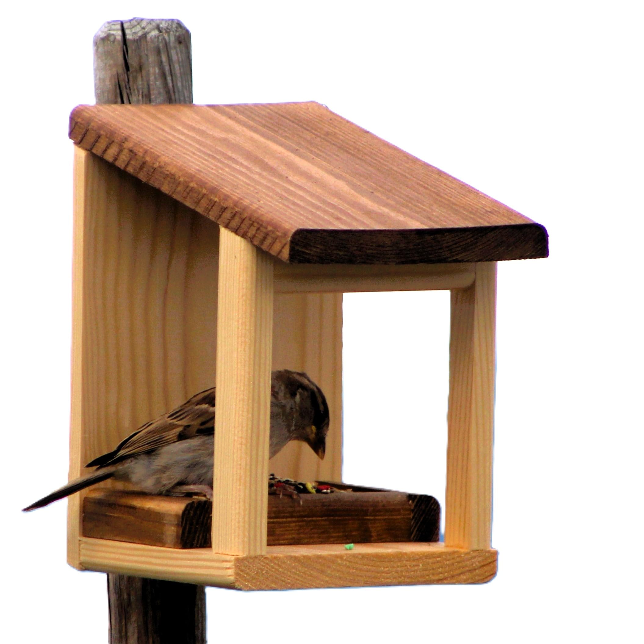 Mangeoire pour oiseaux 'Basic'
