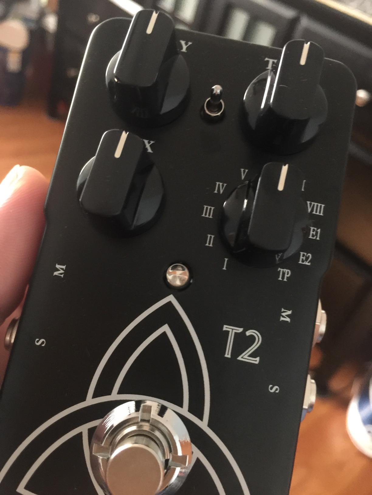 Amazon.com: TC Electronic T2 Reverb Effects Pedal : Musical Instruments