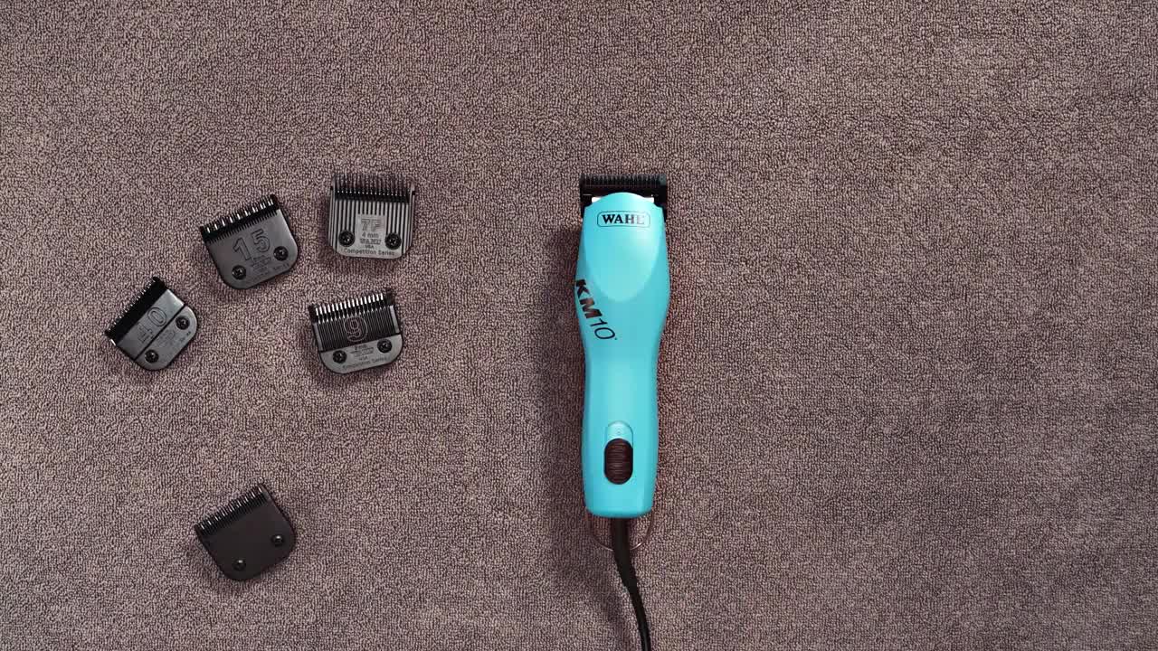 Wahl ULT Competition Series Blade, 30 1/32-Inch Cut : Amazon.ca