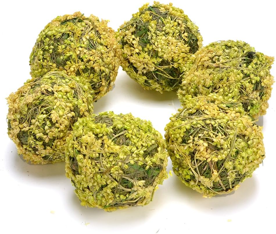 Byher Natural Preserved Moss Hanging Ball Vase Bowl Filler for Garden, Wedding, Party Decoration (3.5"(6 Pack), Pink) : Home & Kitchen