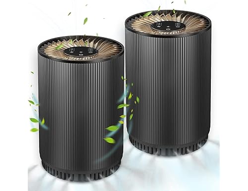 Best 2 pack air purifier for home and bedroom