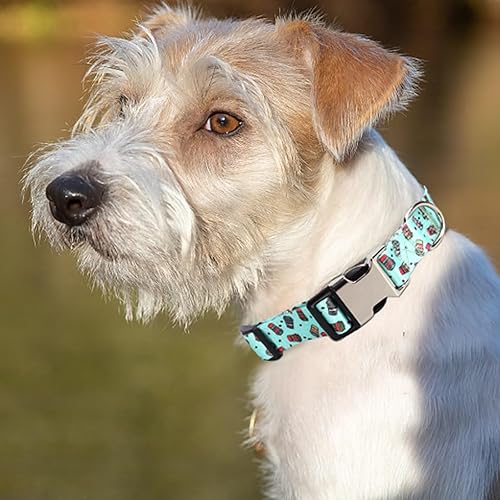 Miniatura 6 de Collar de perro personalizado con hebilla de metal de identificación grabada, collar floral personalizado para perros pequeños, medianos y grandes.